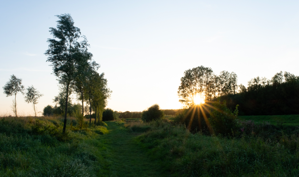 countryside scene at eco camping and glamping site