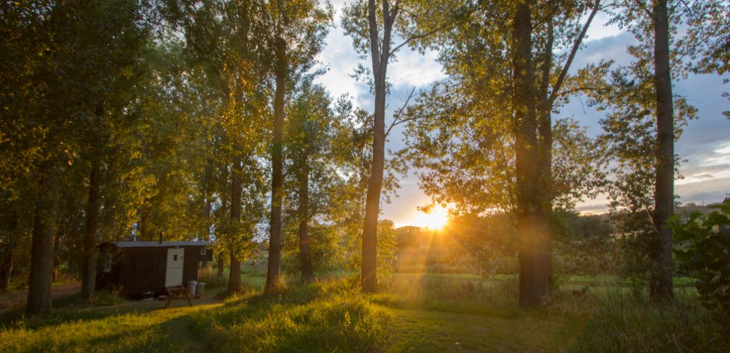 sunset over ancient woodland in eco glamping site with shepherd's hut