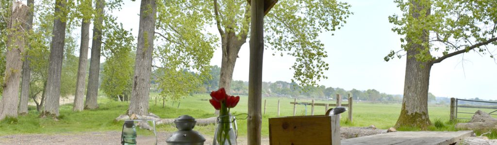 eco camping east sussex